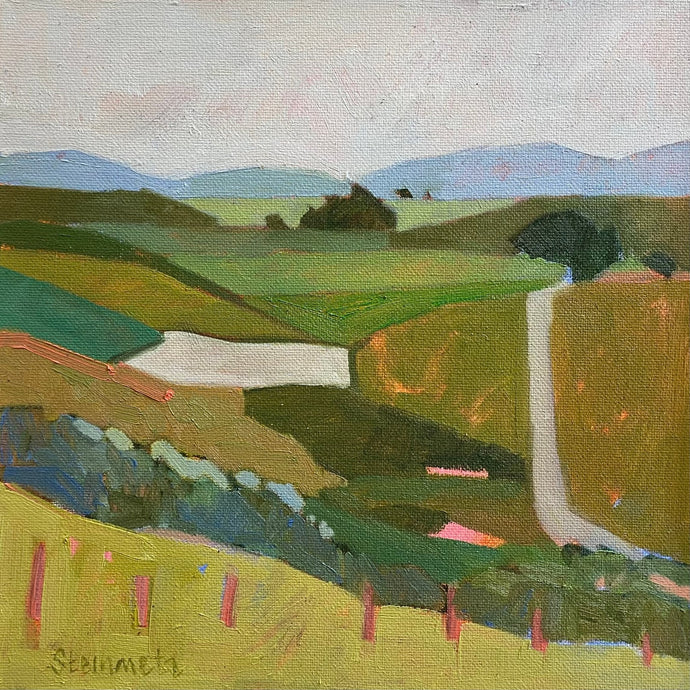 Open Land, Point Reyes National Seashore ~ Liana Steinmetz Fine Art - 1