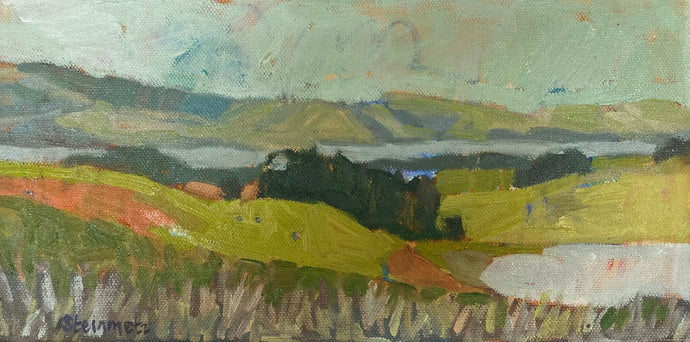 Long View from Clarke Road, Tomales Bay ~ Liana Steinmetz Fine Art - 1