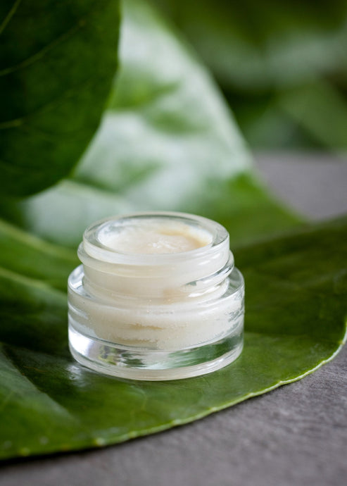 Lip Butter ~ Oleema Skincare  - 1